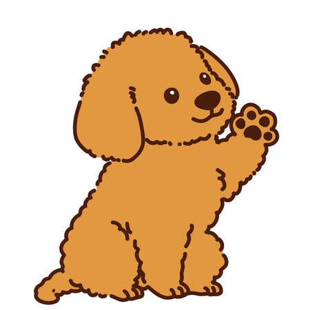 Cute Toy Poodle waving handのイラスト素材