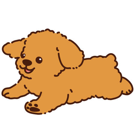 Cute brown Toy Poodle runningのイラスト素材
