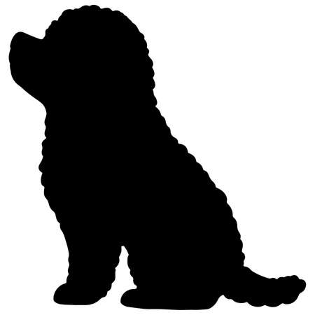 Silhouette of Toy Poodle sitting in side viewのイラスト素材