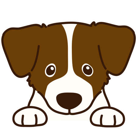 Jack Russell Terrier puppy front headのイラスト素材
