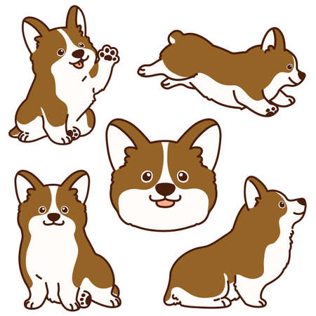 Outlined brown Corgi illustrations setのイラスト素材