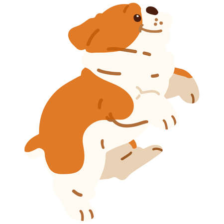 British Bulldog jumping flat coloredのイラスト素材