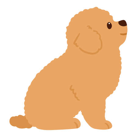 Flat colored Chihuahua Poodle Mix Puppy sitting in side viewのイラスト素材