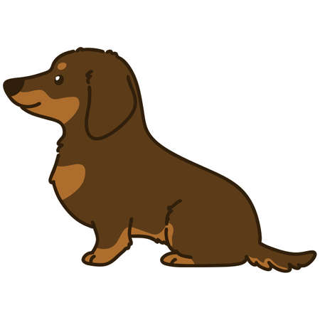 Outlined chocolate &amp; tan Miniature Dachshund sitting side viewのイラスト素材