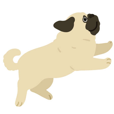 Flat colored Pug puppy jumping and playingのイラスト素材