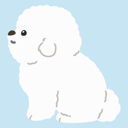 Flat colored white Bichon Frize sitting in side viewのイラスト素材