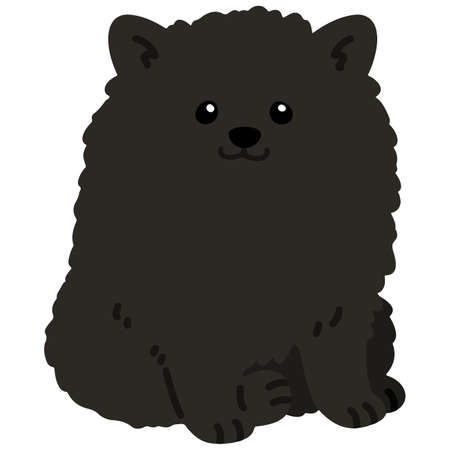 Flat colored black pomeranian sittingのイラスト素材