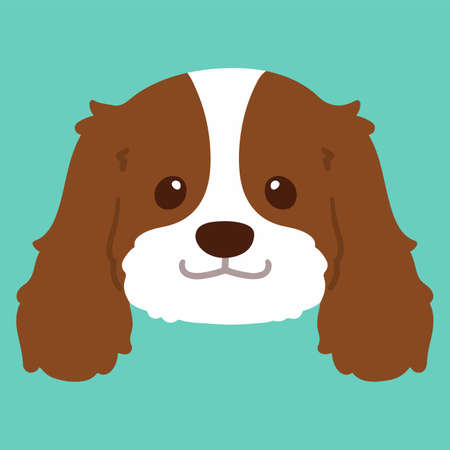 Flat colored Brown Cavalier King Charles Spaniel Headのイラスト素材