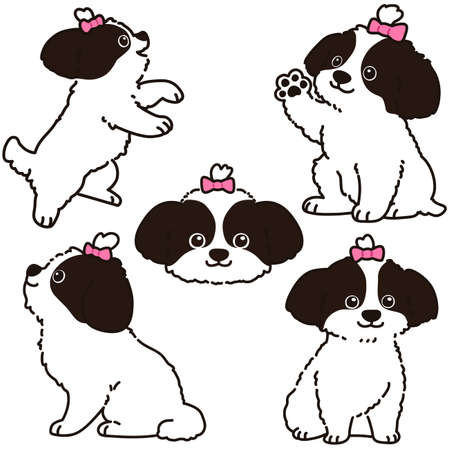 Set of outlined Shih Tzu illustrationsのイラスト素材