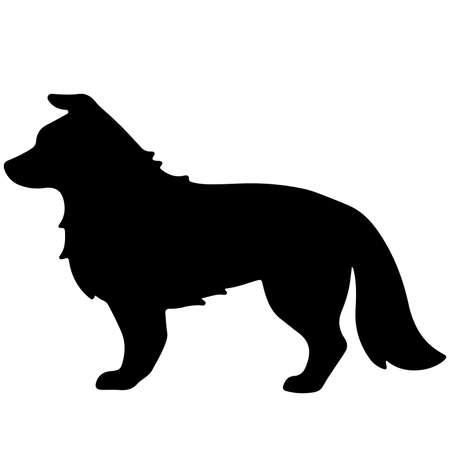 Silhouette of Border Collie dog Idle poseのイラスト素材