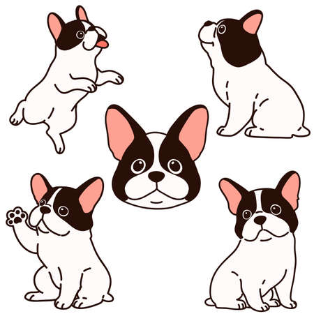 Set of outlined French Bulldog puppy illustrationsのイラスト素材