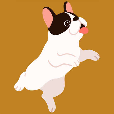 Flat colored French Bulldog jumpingのイラスト素材