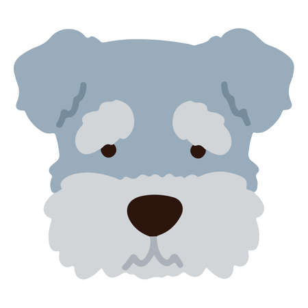 Miniature Schnauzer simple flat coloredのイラスト素材