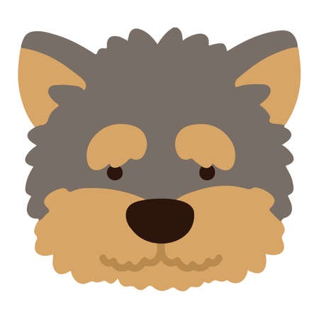 Yorkshire Terrier simple flat coloredのイラスト素材