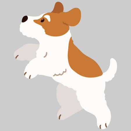 Simple and adorable Fox Terrier jumping flat coloredのイラスト素材