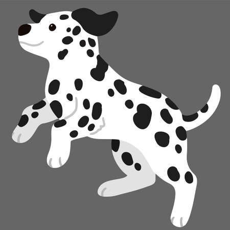 Cute and simple illustration of Dalmatian Dog jumping flat coloredのイラスト素材