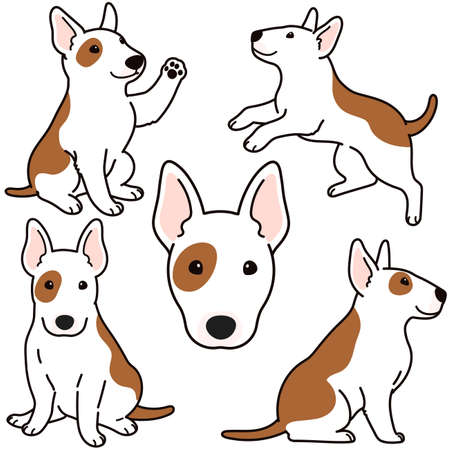 Cute and simple illustrations of Bull Terrier Dogのイラスト素材