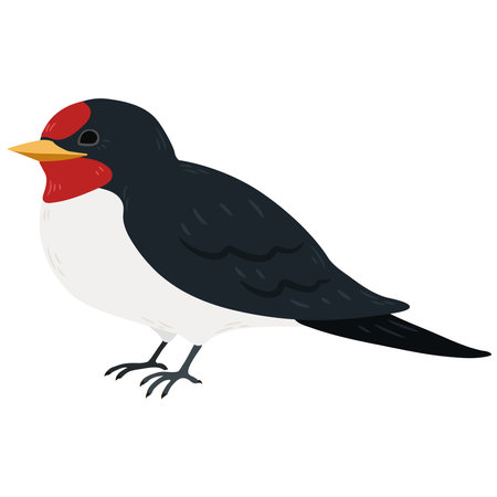 Simple and adorable flat colored Swallow illustrationのイラスト素材
