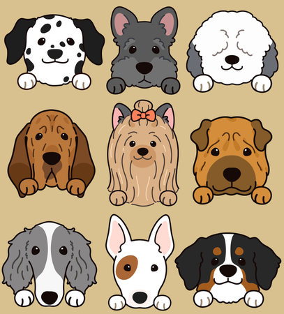 Set of outlined cute and simple dog heads (Yorkshire Terrier, Sheelpand Dog, Shar Pei, Scottish Terrier, Mountain Dog, Bull Terrier, Borzoi, Blood Hound, Dalmatian)のイラスト素材
