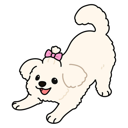 Simple and cute illustration of Maltese Dog being playfulのイラスト素材