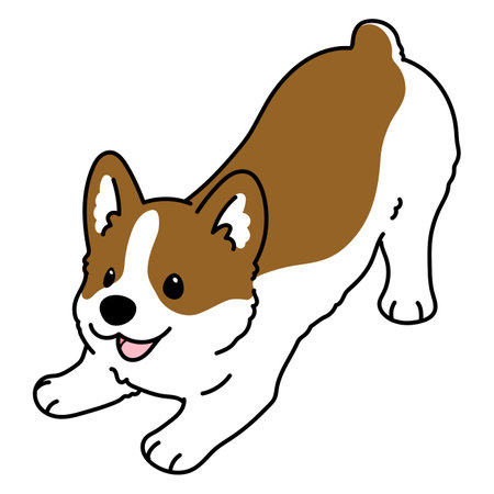 Simple and cute outlined illustration of Corgi being playfulのイラスト素材