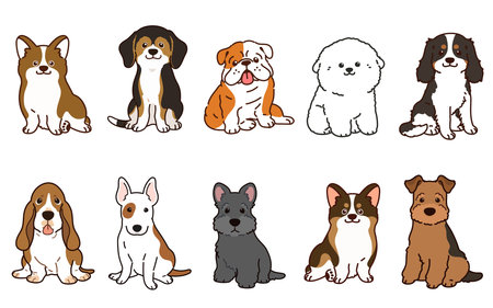 Simple and adorable illustrations of friendly medium sized dogs outlinedのイラスト素材