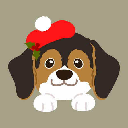 Flat colored adorable dark tri colored Beagle front face with paws Christmas styleのイラスト素材