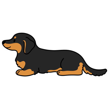 Simple and cute illustration of dark colored Miniature Dachshund lying downのイラスト素材