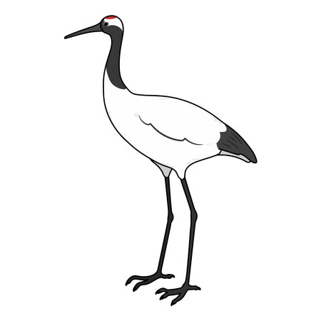 Simple and adorable outlined Red-crowned crane illustrationのイラスト素材