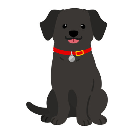 Flat colored black Labrador sitting front view illustrationのイラスト素材
