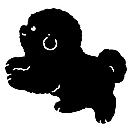 Silhouette of white Bichon Frize jumping with detailsのイラスト素材