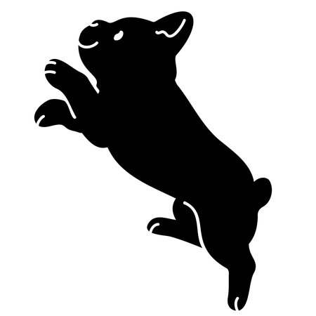 Silhouette of Boston Terrier jumping with facial detailsのイラスト素材