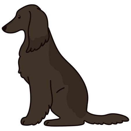 Simple and adorable dark colored Afghan Hound illustration sitting in side viewのイラスト素材