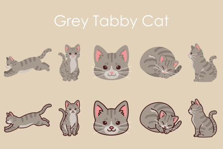 Simple and adorable Gray Tabby Cat illustrations setのイラスト素材