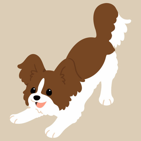 Simple and cute flat colored illustration of Papillon being playfulのイラスト素材