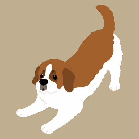 Simple and cute illustration of Saint Bernard being playful flat coloredのイラスト素材