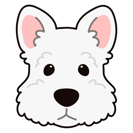 Simple and adorable white Scottish Terrier illustration front headのイラスト素材