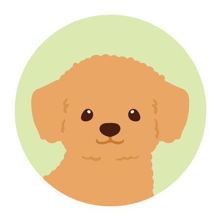 Simple and cute circle icon illustration of Chihuahua &amp; Poodle mixのイラスト素材