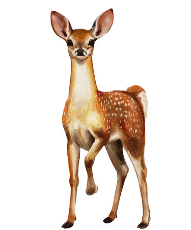 Hand drawn illustration of deerの写真素材