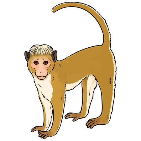 Cute illustration of Toque macaque
