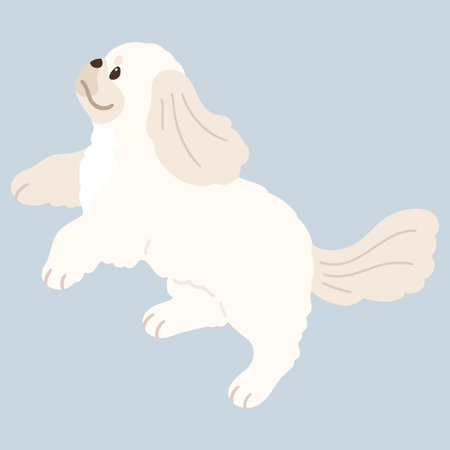 Simple and adorable illustration of white Pekingese dog jumping flat colored