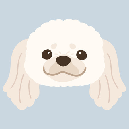 Simple and adorable illustration of white Pekingese dog face flat coloredのイラスト素材
