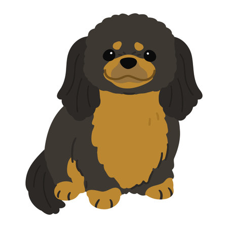Simple and adorable illustration of Black & Tan Pekingese dog sitting in front view flat coloredのイラスト素材