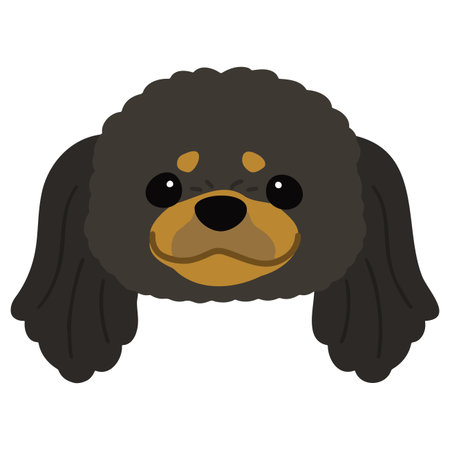 Simple and adorable illustration of Black & Tan Pekingese dog face flat coloredのイラスト素材