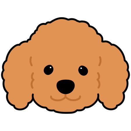 Simple and adorable brown colored Poodle dog illustration front headのイラスト素材