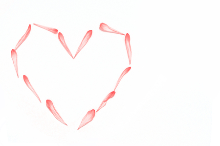 Rose petals heart for wedding or valentine's dayの写真素材