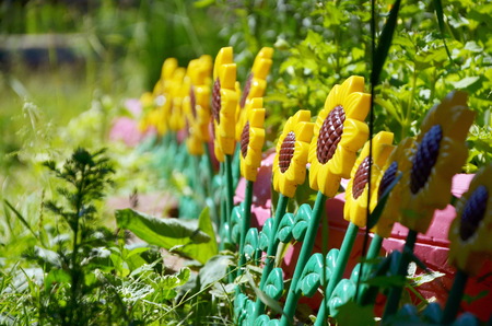 sunflower garden decoration in summerの写真素材