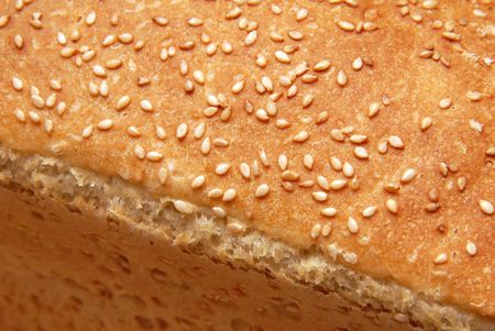 loaf of wheat bread by a large plan