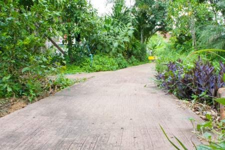 The land of herbsの写真素材