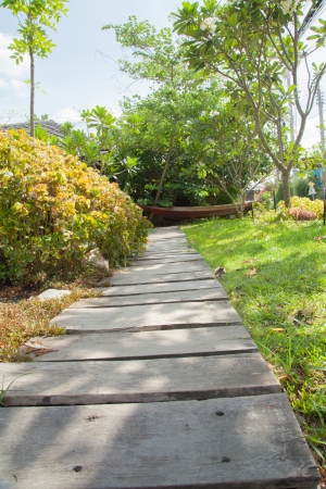 Wood walkwayの写真素材